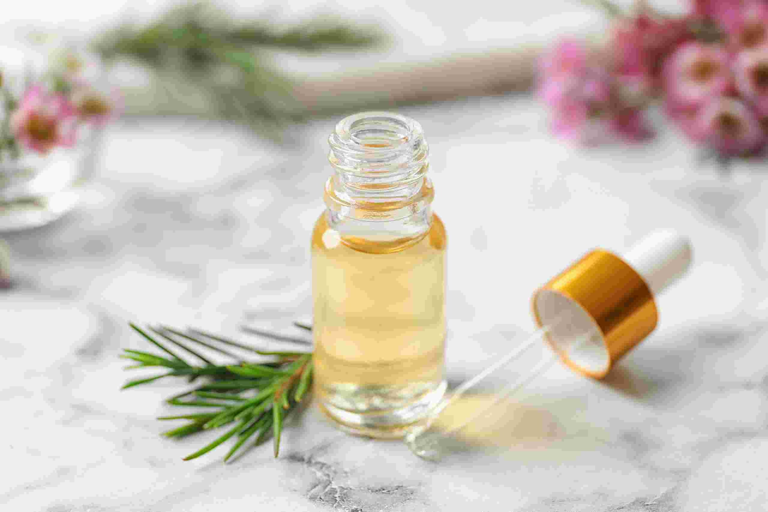 El Aceite del árbol del té y ¿Por qué elegir a Disaromati S.A. como tu proveedor?