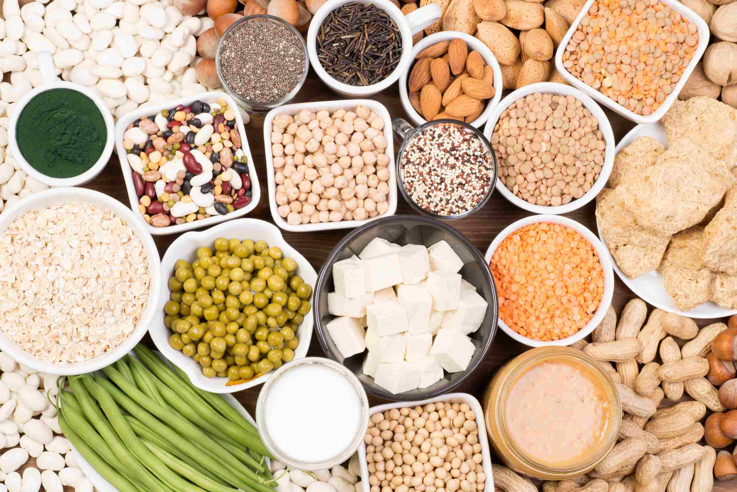 Proveedor de proteína vegetal hidrolizada en Ecuador: todo lo que necesita saber