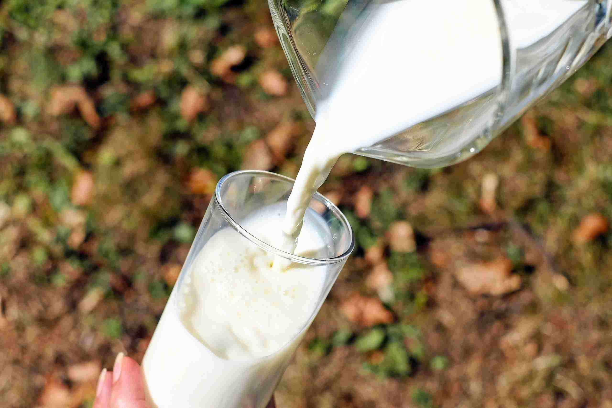 Proteína concentrada de leche MPC 1850: el ingrediente que necesita para sus productos lácteos y helados