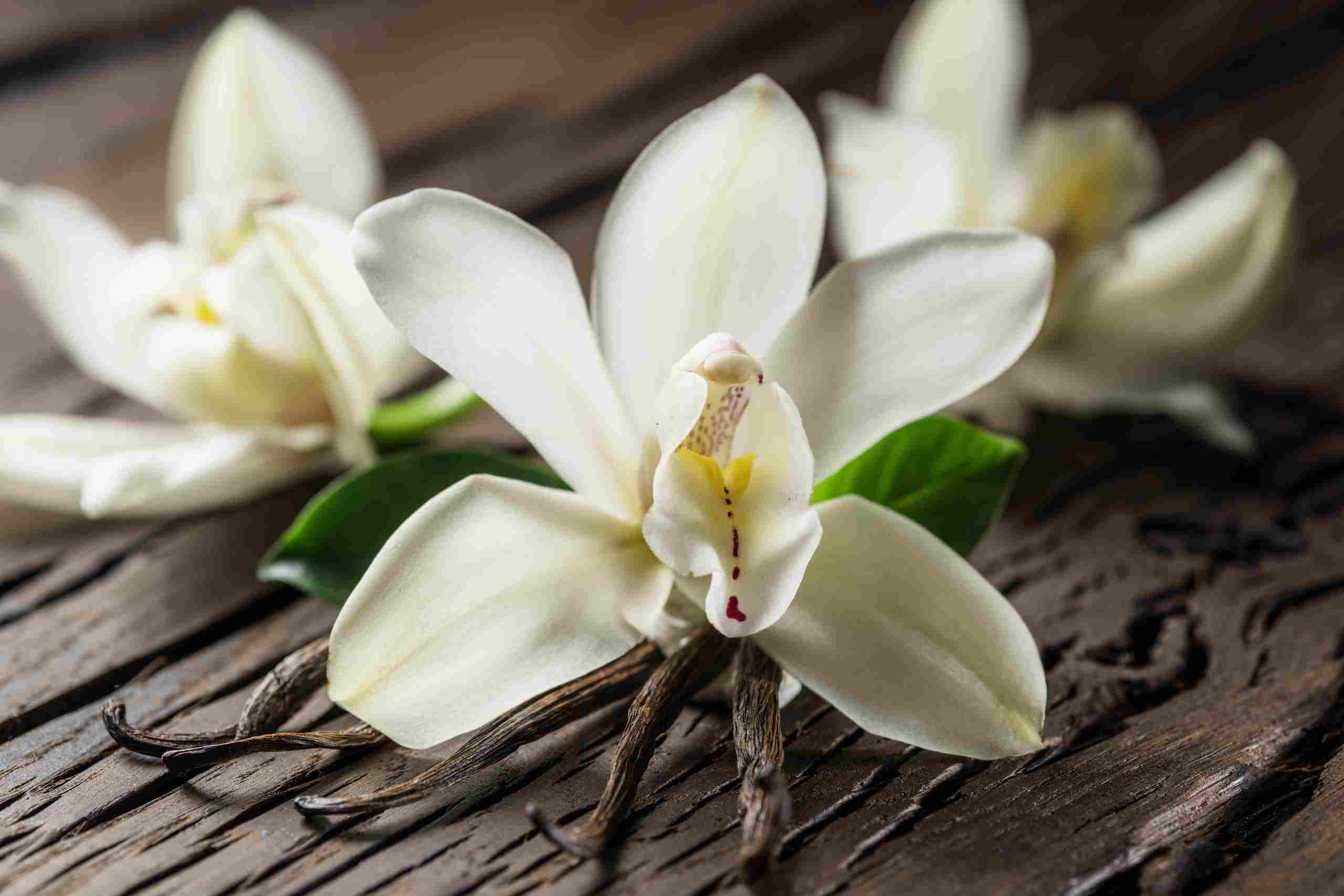 El Sabor de vainilla natural: un ingrediente que marca la diferencia