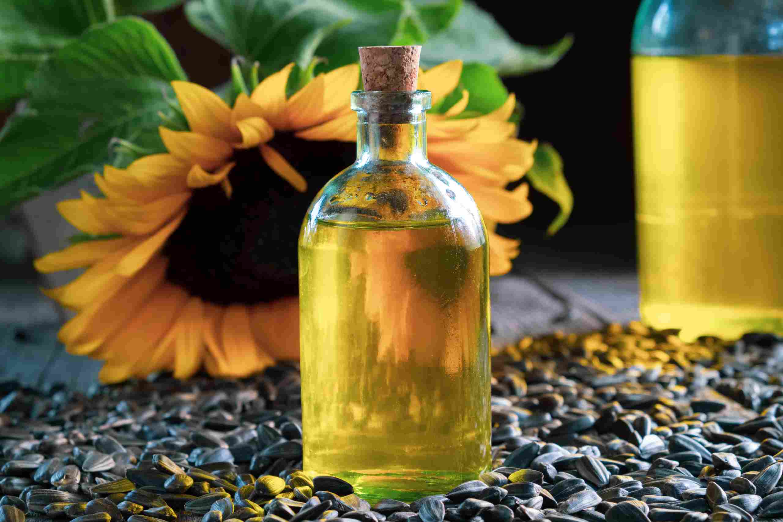 Extracto de girasol: el ingrediente natural y funcional para tus productos de cosmética