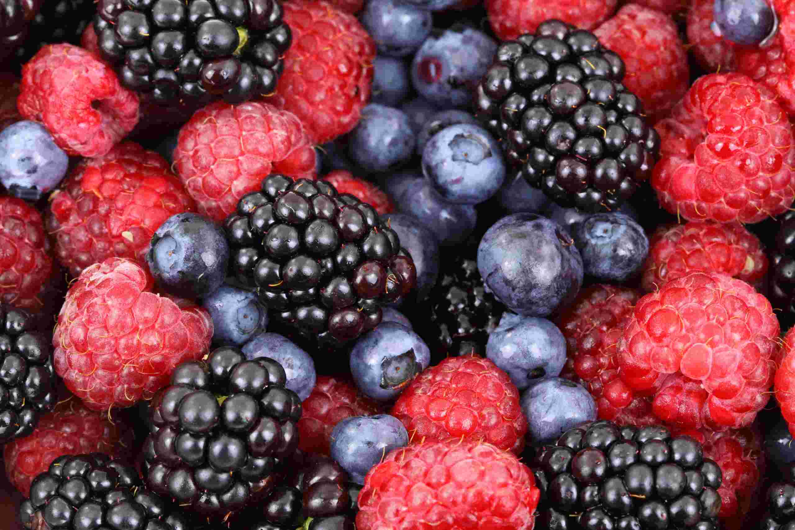 Fragancia frutos rojos: Berry Passion, una opción irresistible para tus productos de cosmética