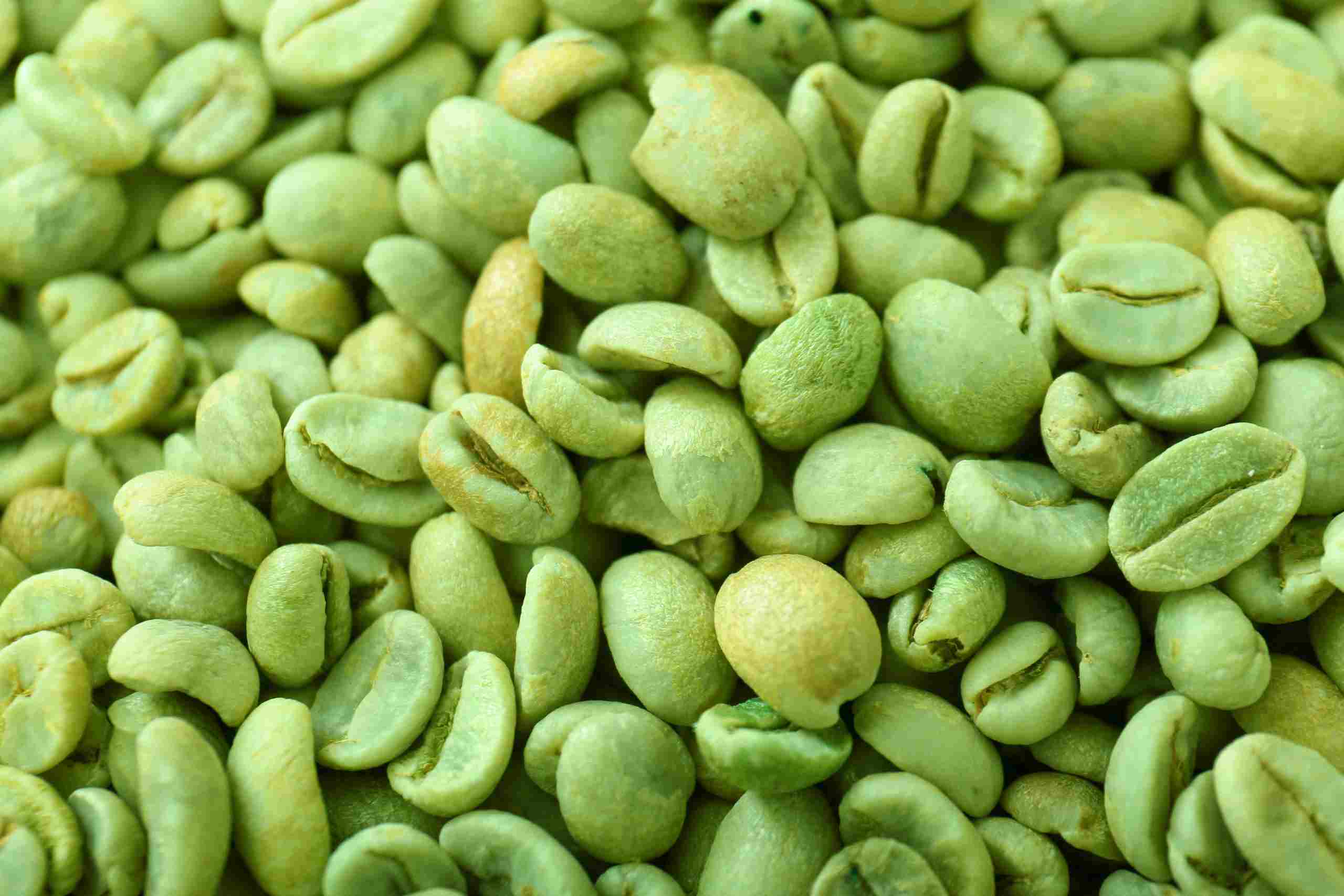 Extracto de grano de café verde: un insumo con múltiples beneficios y aplicaciones para la industria alimentaria