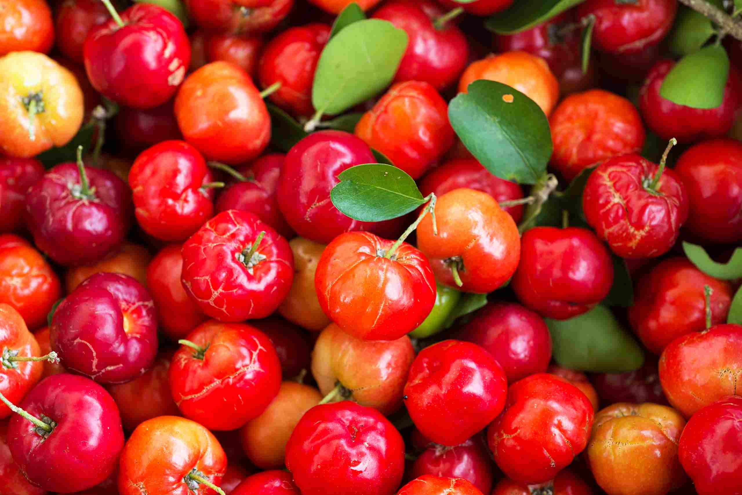 ¿Por qué elegir el extracto de acerola para tus productos alimenticios?