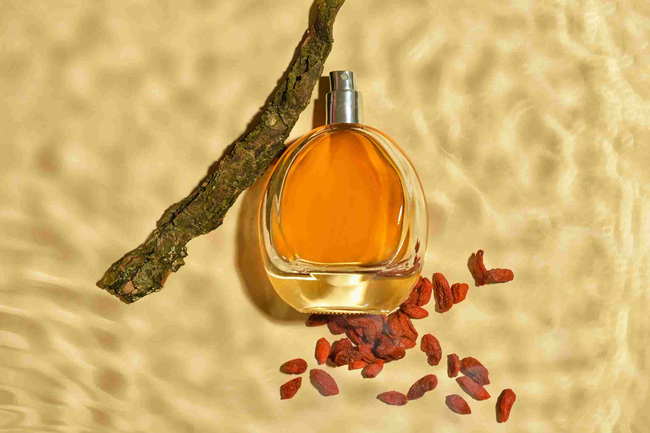 FRAGANCIAS AMADERADAS: Un Viaje Sensorial a Través de Bosques Majestuosos