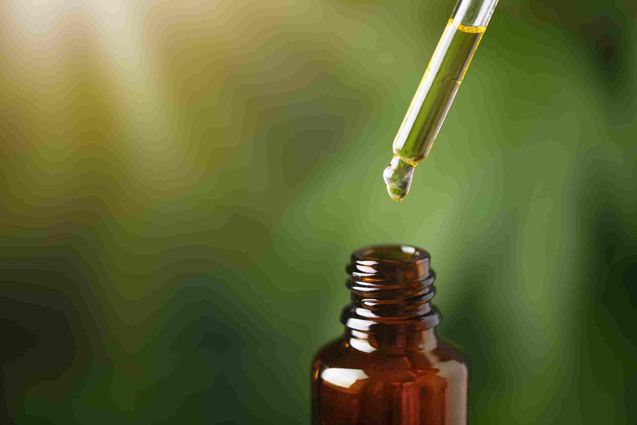 Revolucionando la Industria Alimentaria con CBD: Una Guía Definitiva para Empresarios