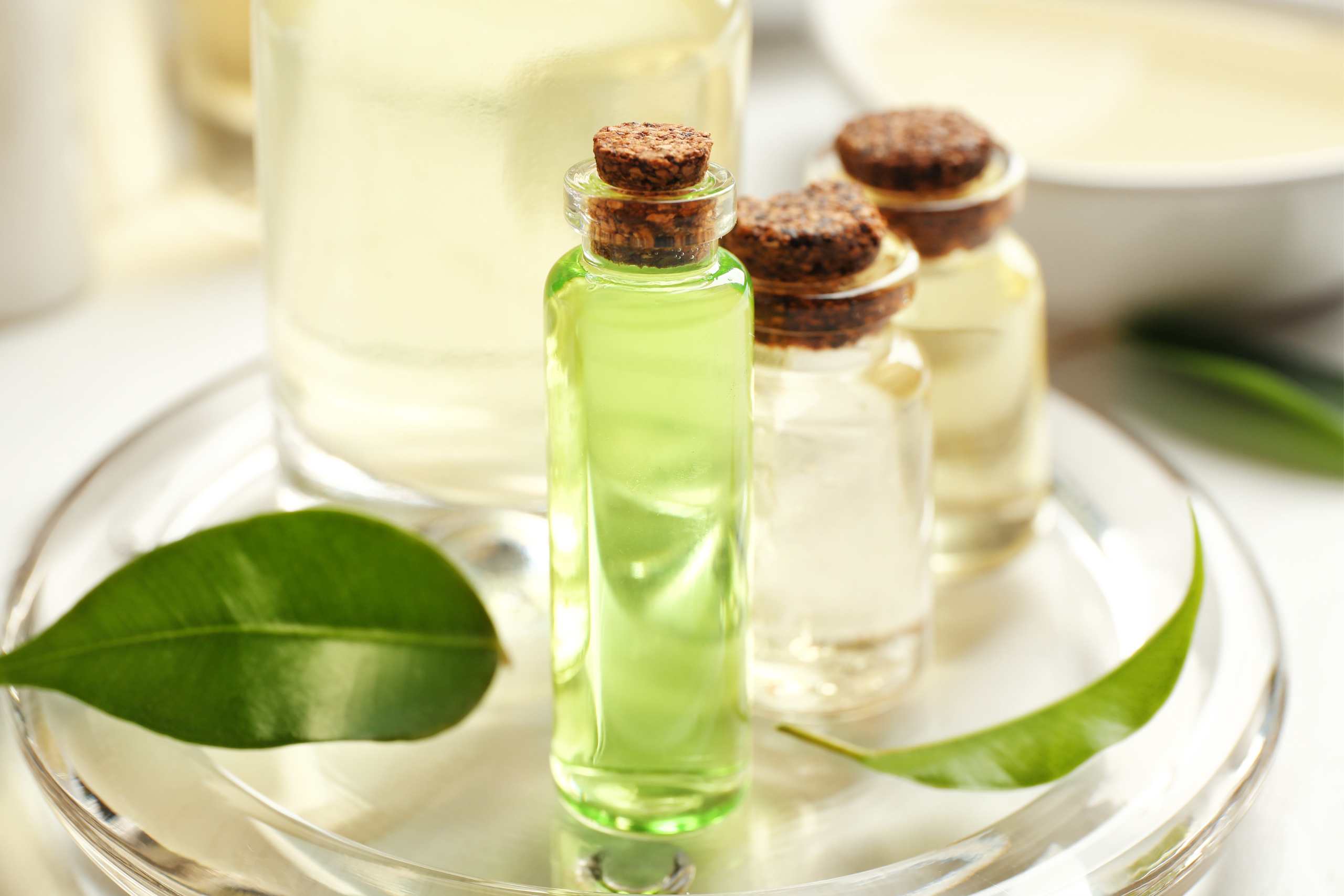 Descubre las Ventajas del EXTRACTO DE TE VERDE-ECO en Quito para tus Productos Cosméticos