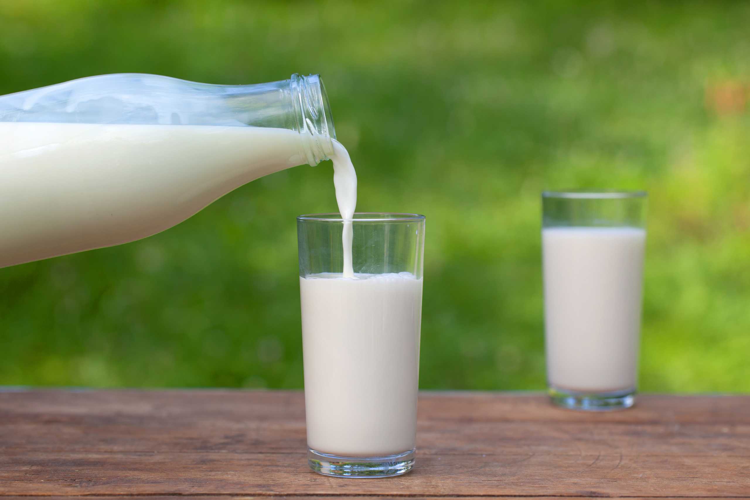 Proveedor de PROTEÍNAS LÁCTEAS PARA ESTANDARIZAR PROCESOS en Quito