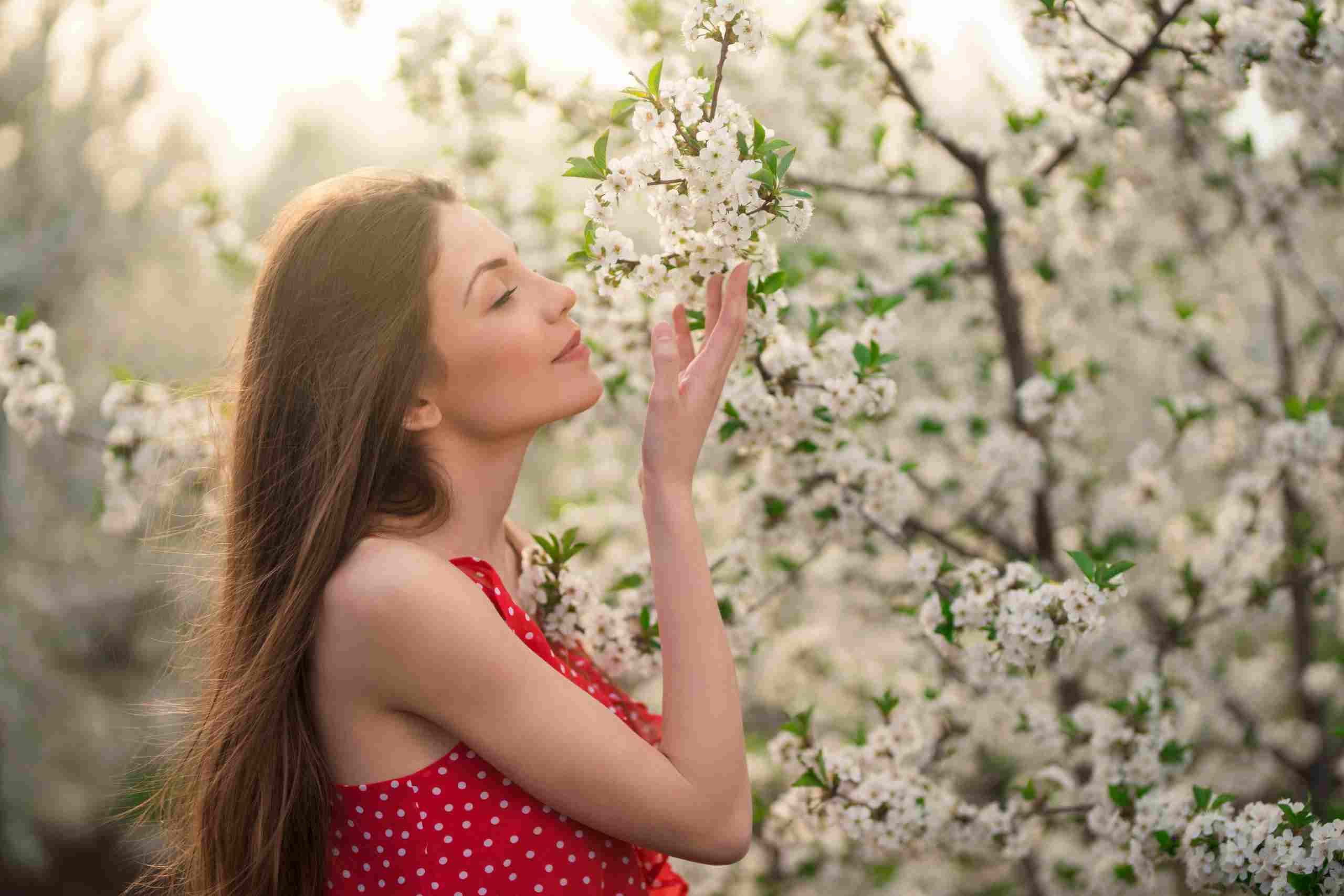 Fragancias que Evocan Emociones en Ecuador: Cómo Elegir el Mejor Proveedor para tu Empresa